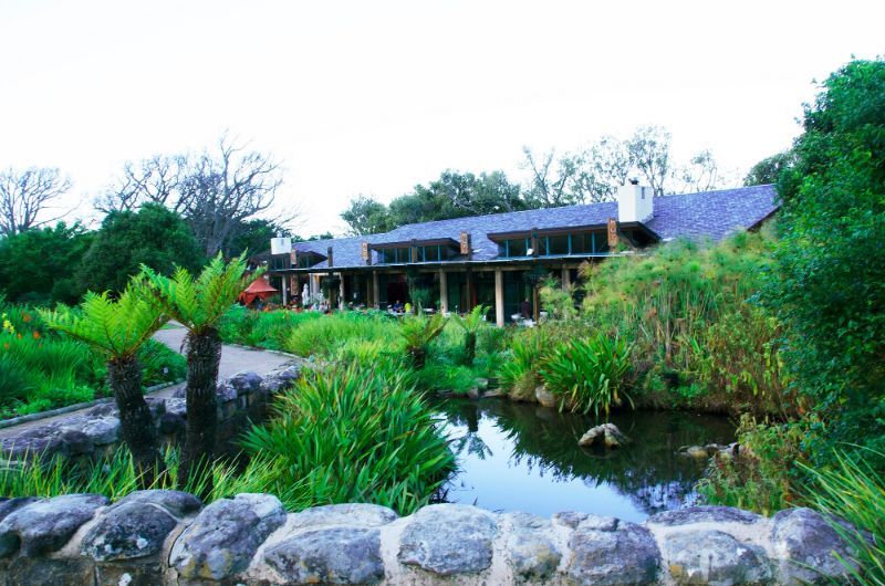 MOYO Kirstenbosch gallery image 1